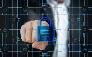 九游娱乐网站-赛事风险管理体系，体育赛事风险管理的主要内容