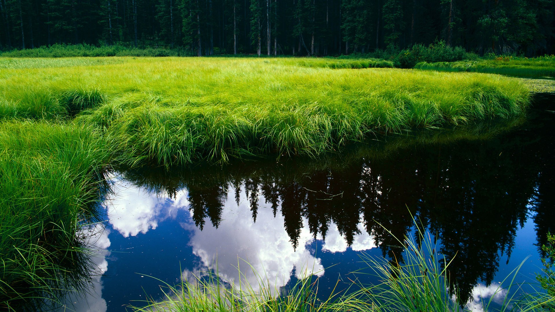 九游体育入口-“沙滩排球：高新体育中心迎来激烈对抗，冠军之争令人期待”