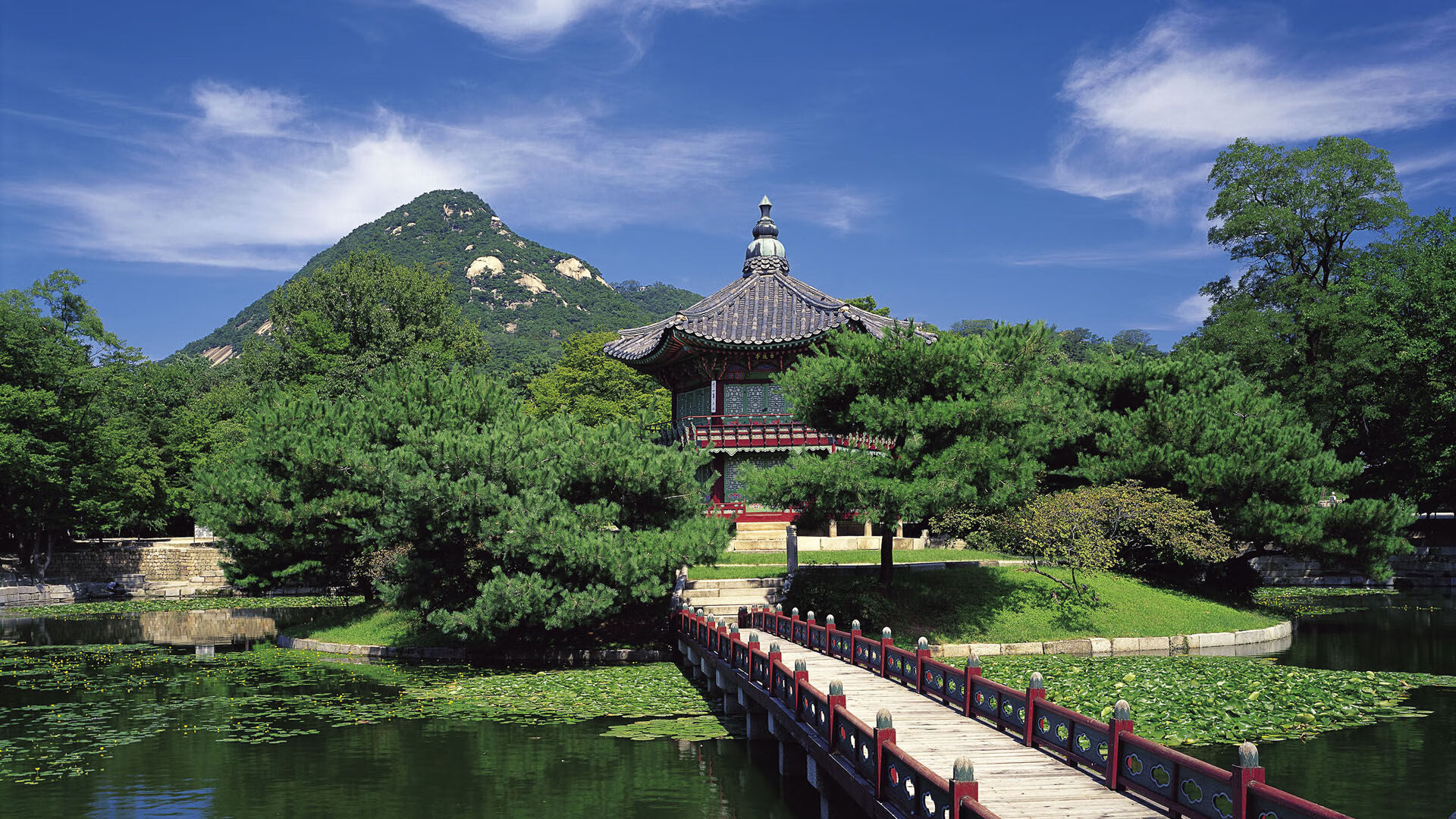 九游体育app下载-中国青少年篮球积分系统覆盖主要省市，中国青少年篮球等级认证中心