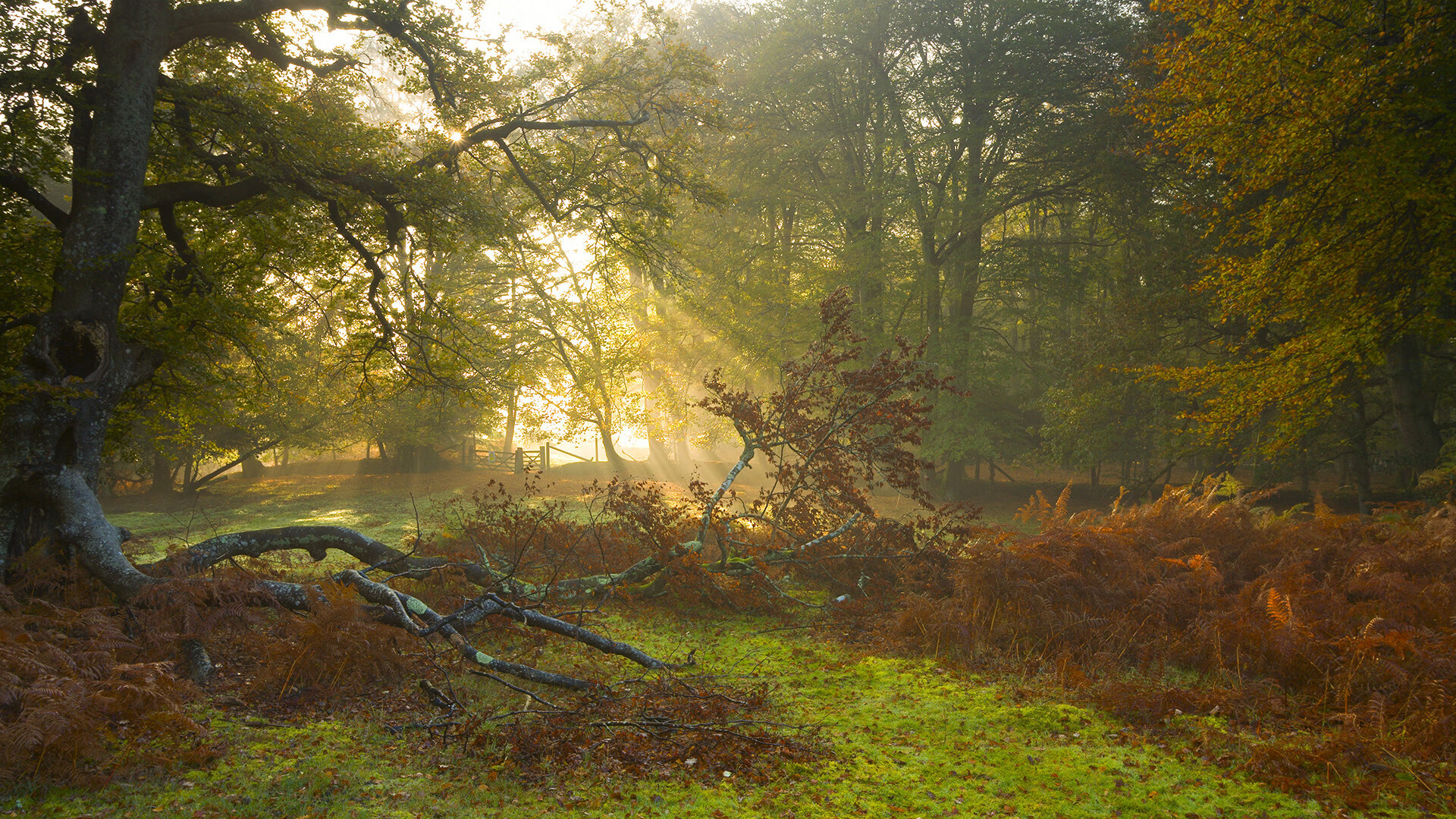体育新闻中心推动基层体育内容精准扶贫传播项目,体育+扶贫
