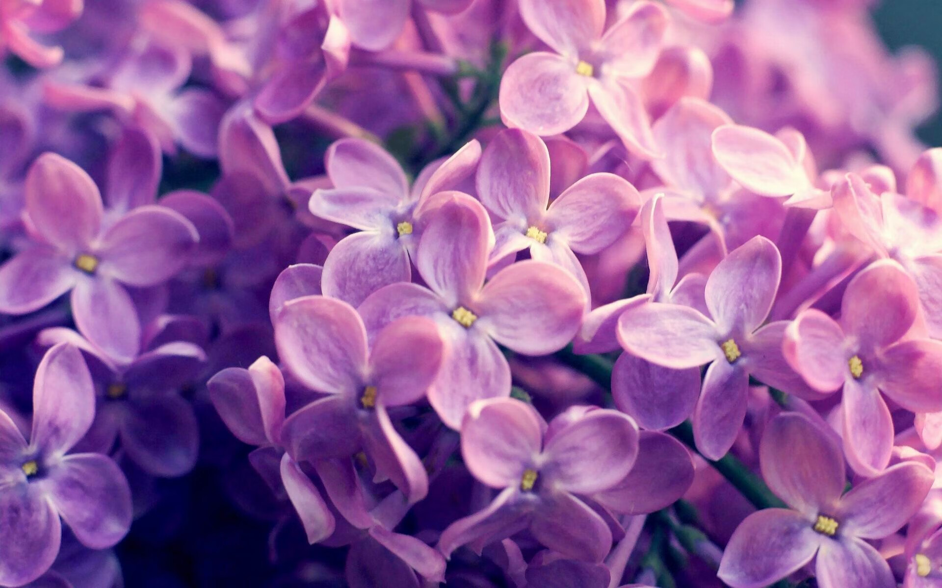 威尔士男队从失利到重生:是否迎来新的黄金时代?,威尔士队最新大名单