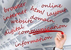 九游娱乐比分网-球员形象代言引发社会话题，品牌合作更注重价值观一致，球员形象照