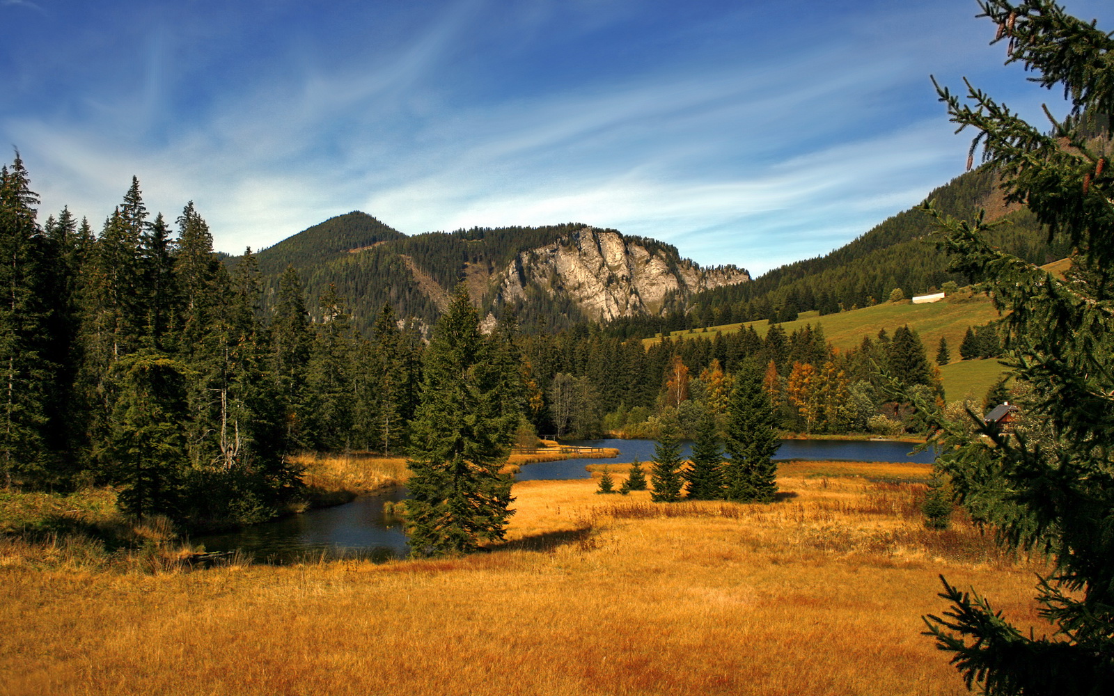 王楚钦激战加时乒乓球团体赛,国际乒联采访王楚钦