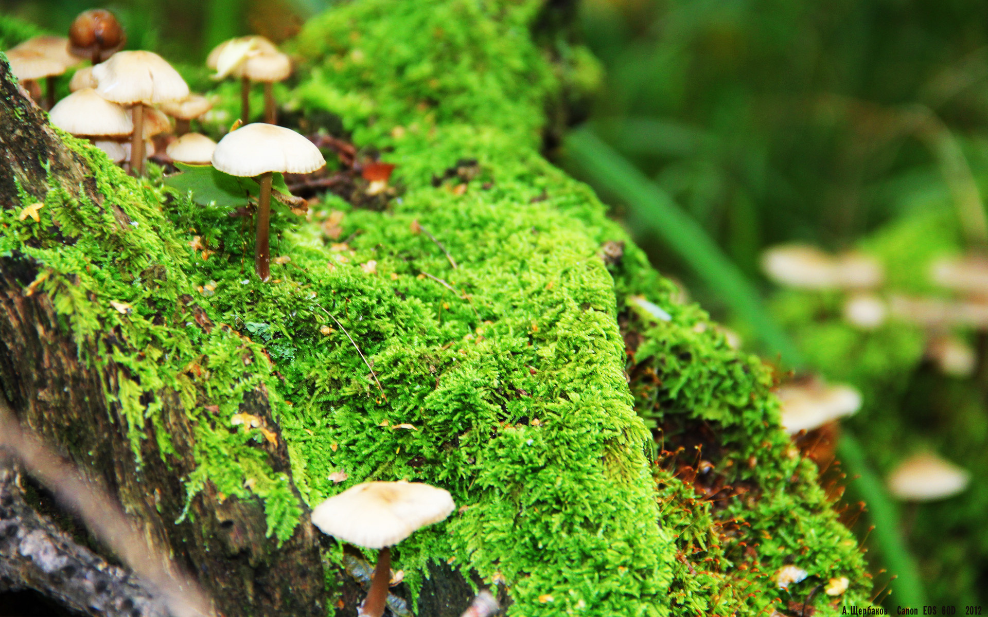 雷霆新赛季主题活动启动强调青年力量崛起,雷霆本赛季